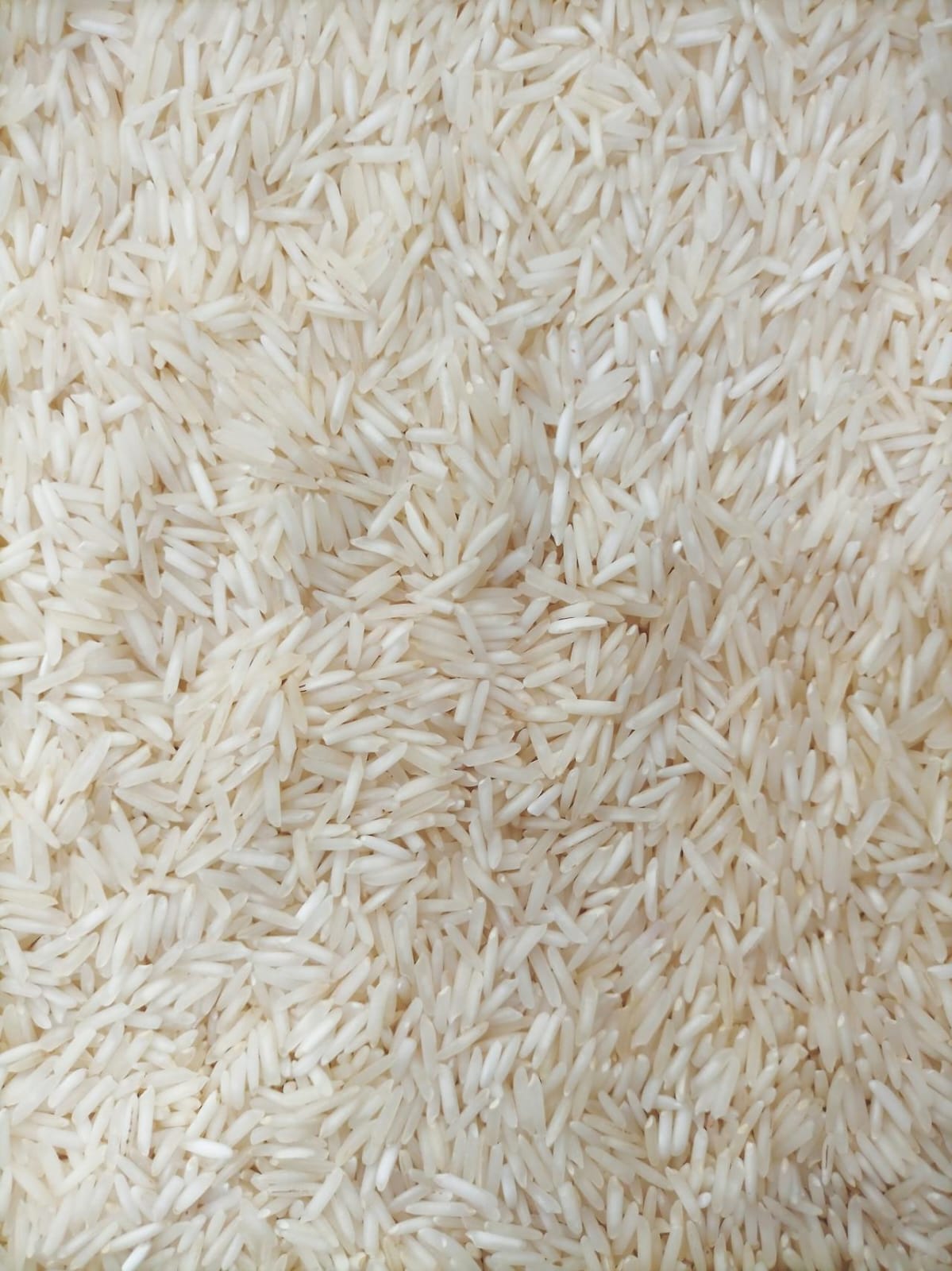 White Rice